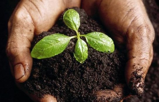 An exemplary effort toward sustainable way of waste disposal management in India
